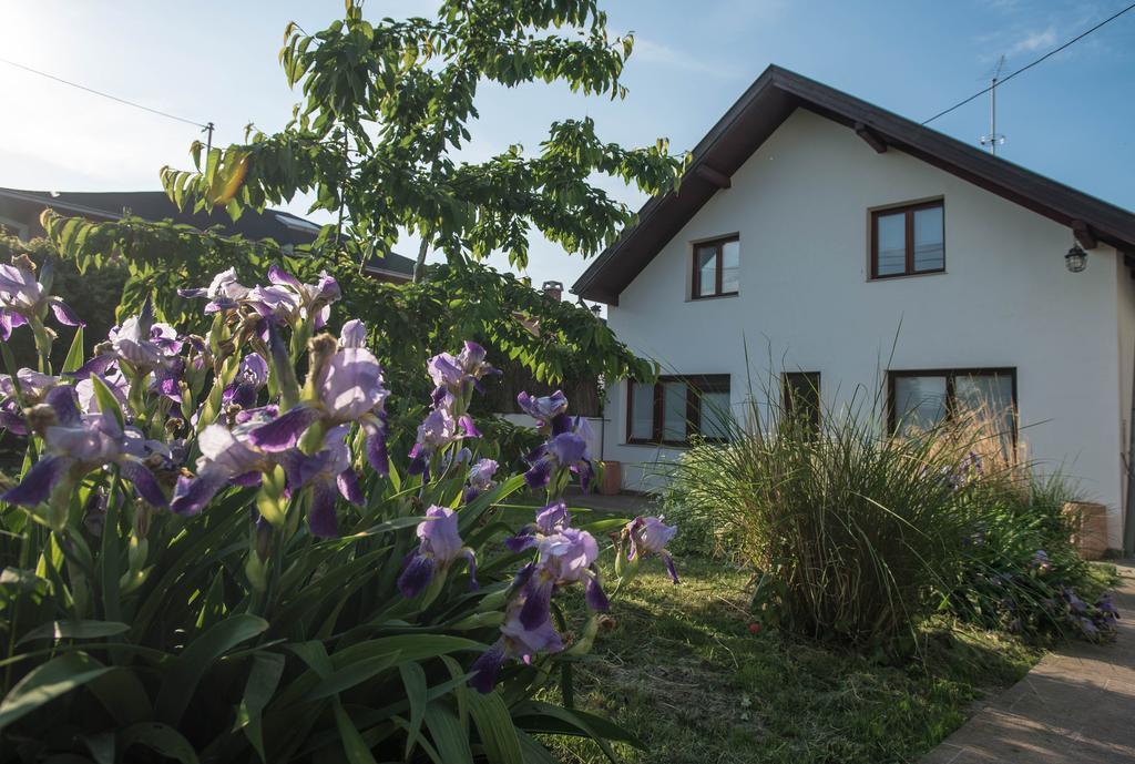 Apartments Osijek By The River Esterno foto